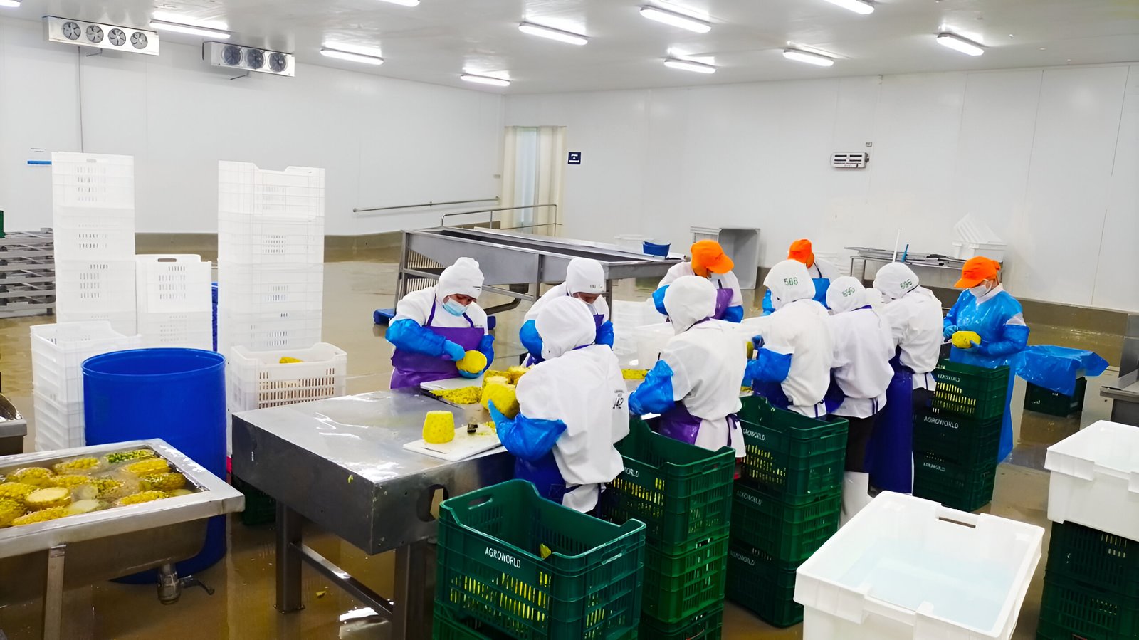 Equipo WAYU en planta